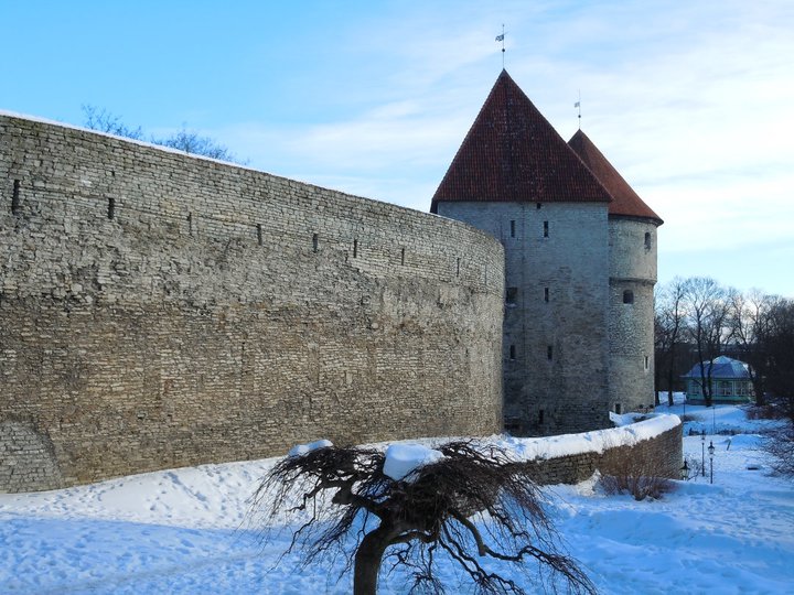 Tallinn old town walls