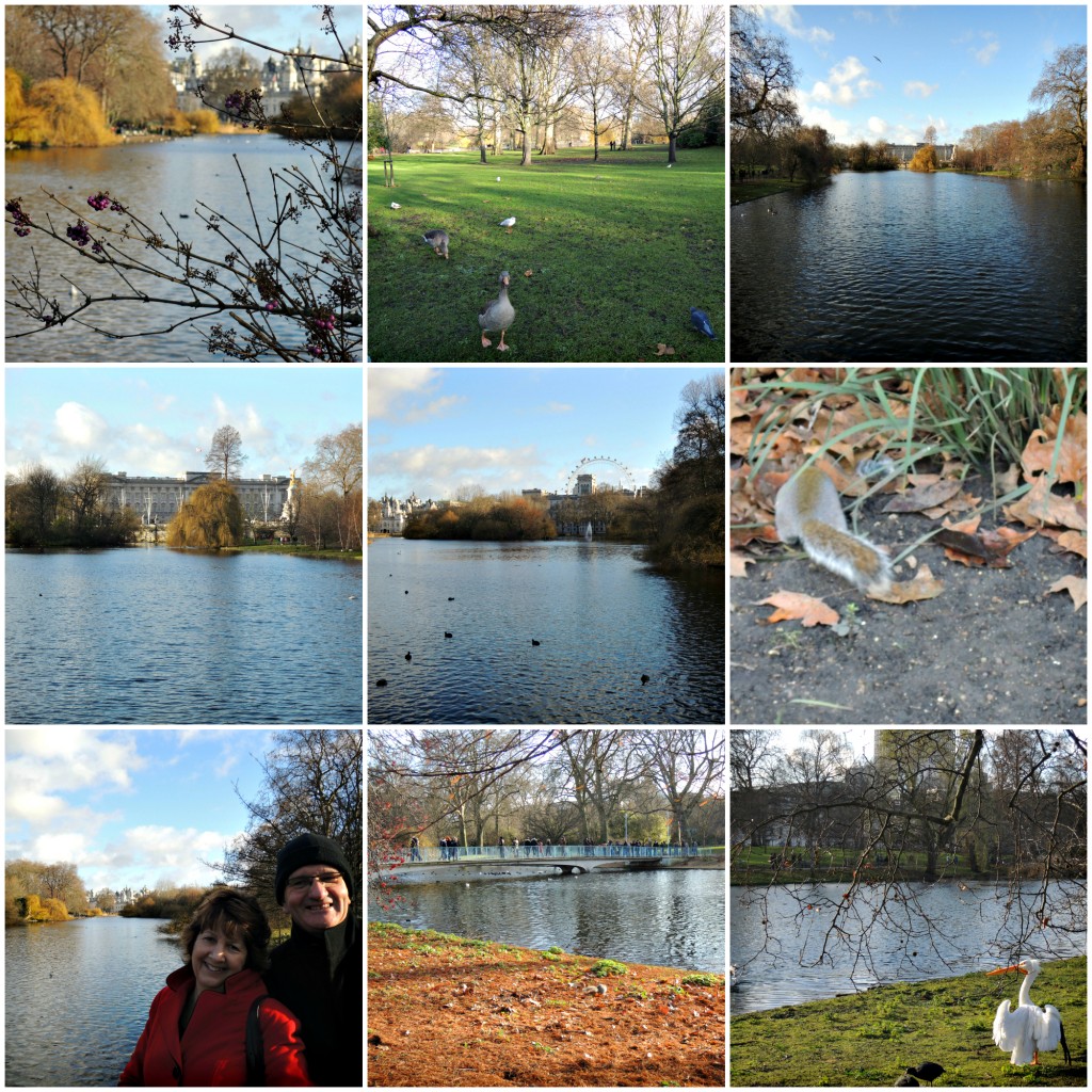 80 pairs of shoes st james park lake and wildlife