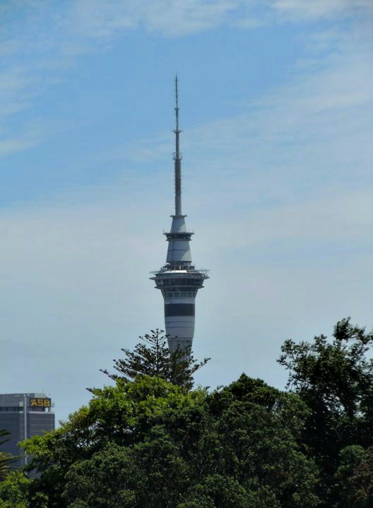 80 pairs of shoes 10 things to do in auckland sky city sky tower
