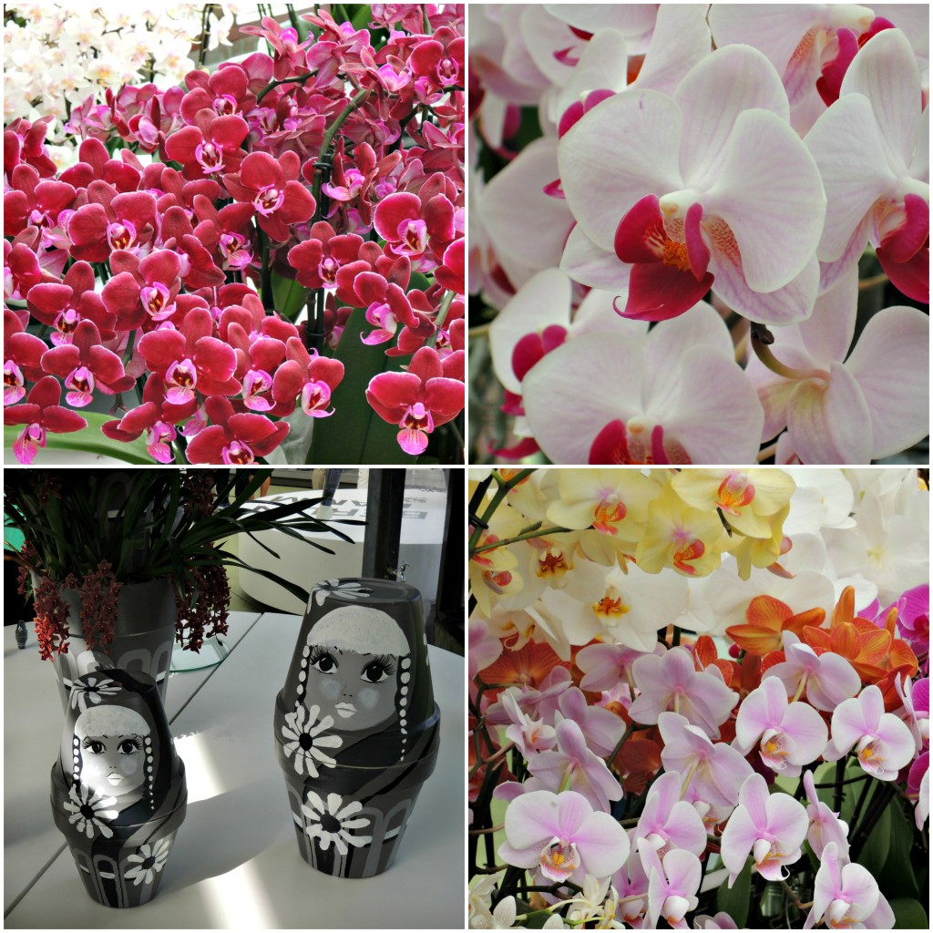 80 pairs of shoes amsterdam orchids