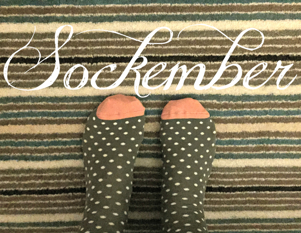 let-me-introduce-you-to-#sockember