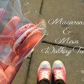 macarons and mews 1