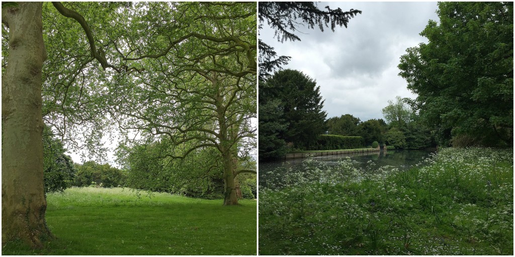 Days-Out-in-England-Audley-End-House-and-Gardens