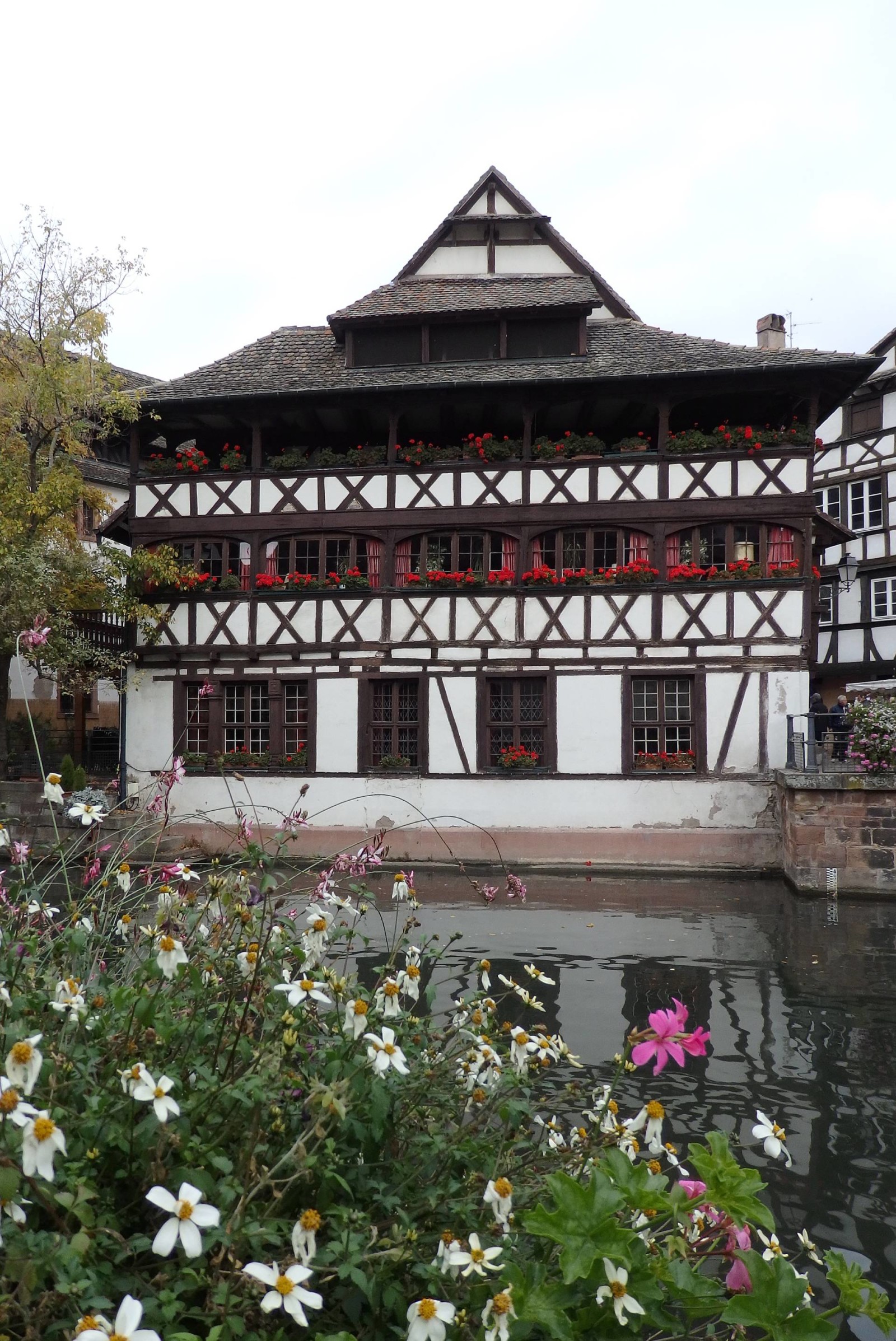 France Travel Inspirationvisiting Strasbourg, France on your next vacation then you've picked one of the prettiest cities in France to visit! Here's my Guide of Things to Do and See in Strasbourg France...it's a perfect city to visit for 2-3 days plus there are some handy gluten free food traveling tips in there as well. 
