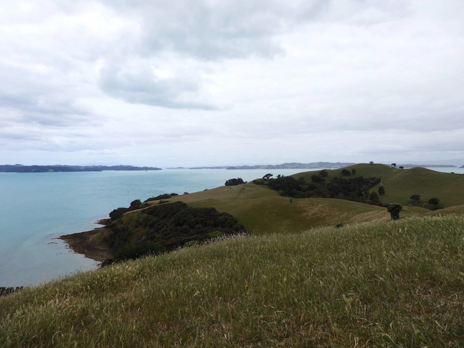 New Zealand Travel InspirationLooking for things to do in Auckland City then why not visit the Duder Regional Park in South Auckland which is a super little New Zealand hiking spot with stunning views over the Auckland Gulf. Add this Regional Park to your New Zealand Bucket List. Click on the link to see more photos and travel tips for Auckland, New Zealand.