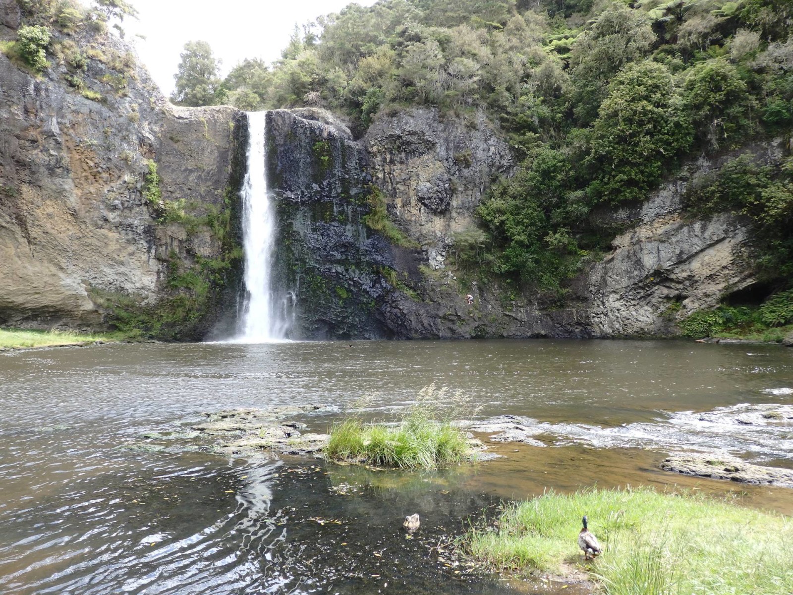 New Zealand Travel InspirationLooking for things to do in Auckland City then why not visit the Hunua Falls in South Auckland which is a super little New Zealand hiking spot and a gorgeous waterfall. Add this Regional Park to your New Zealand Bucket List. Click on the link to see more photos and travel tips for Auckland, New Zealand.