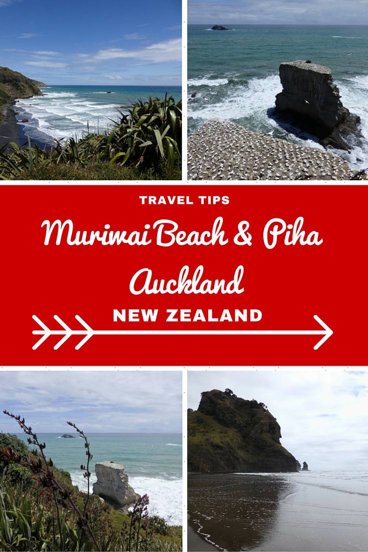 New Zealand Travel InspirationLooking for things to do in Auckland City then why not visit the super popular Auckland West Coast beaches including Muriwai Beach with it's Gannet Colony and Piha Beach which is perfect for surfing! These two destinations should be on your New Zealand Bucket List. Click on the link to see more photos and travel tips for Auckland, New Zealand.