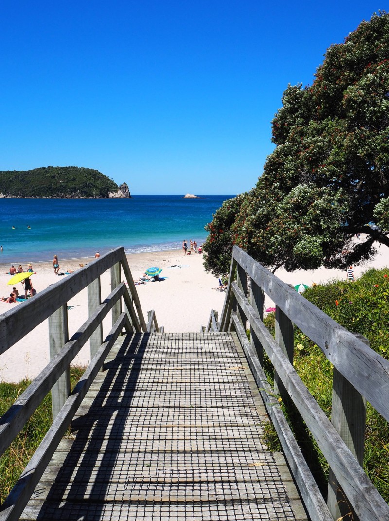 New Zealand Travel InspirationA visit to Cathedral Cove New Zealand should be on everyones New Zealand Travel Bucket List especially for fans of Narnia. Pop on over to read about all the Travel Tips you will need for a perfect day in the Coromandel