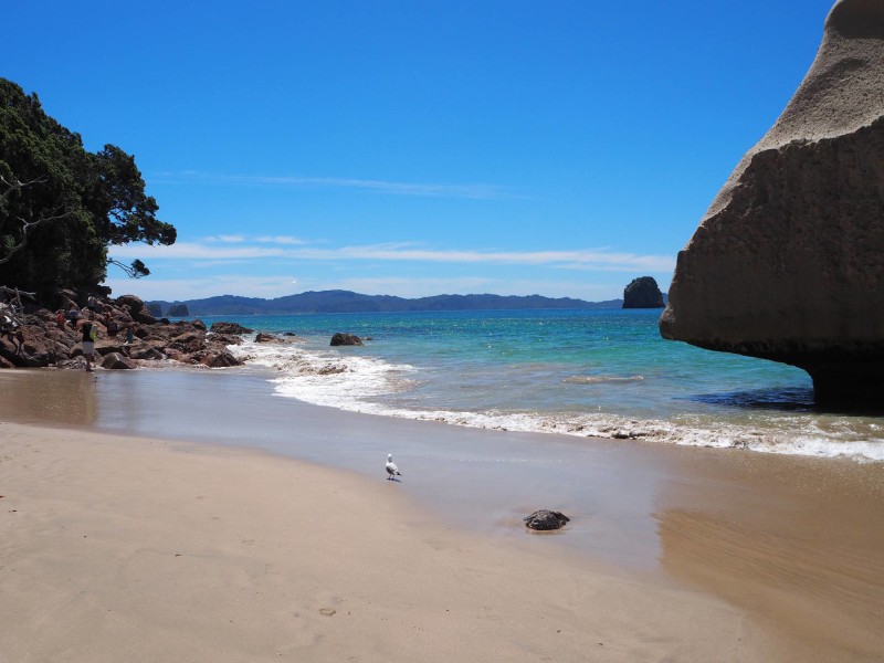 New Zealand Travel InspirationA visit to Cathedral Cove New Zealand should be on everyones New Zealand Travel Bucket List especially for fans of Narnia. Pop on over to read about all the Travel Tips you will need for a perfect day in the Coromandel