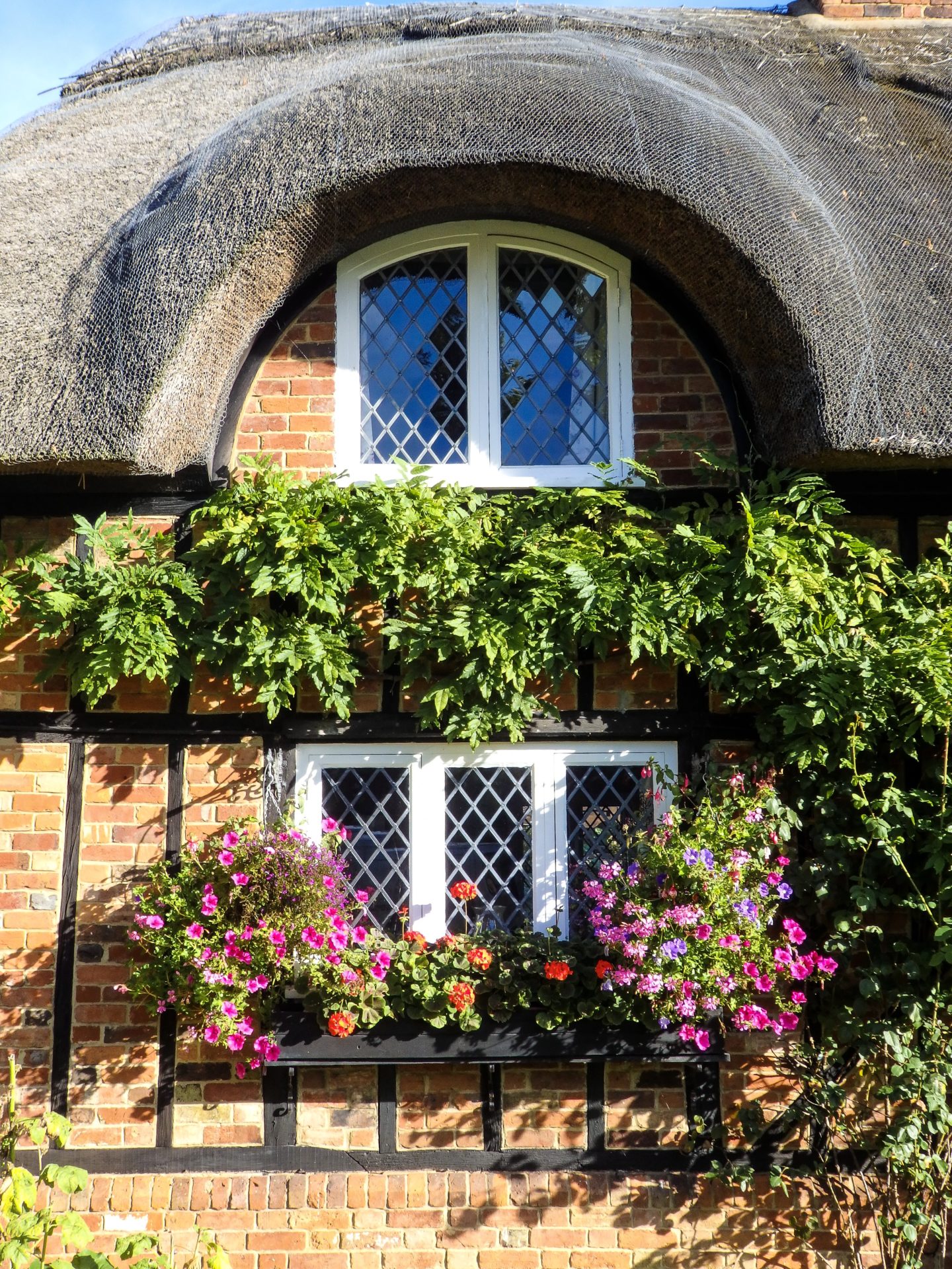 England Travel InspirationThatched Cottages of Ampthill, Bedfordshire. English Thatched Cottages at their best with beautiful summer flowers still in bloom. #england #travel